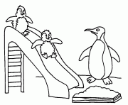Printable penguin color page 64d5b coloring pages