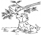 Printable dalmatian and birds 9e6b coloring pages