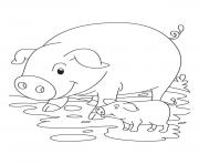 Printable cute pig and piglet s5ee1 coloring pages