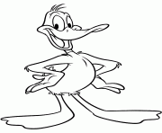 Printable looney tunes daffy duck s8757 coloring pages