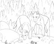 Printable wolf s pup coloring pages