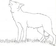 Wolf Coloring Pages Free Printable Easy Howling