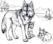Printable Wolf with baby wolfs coloring pages