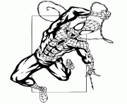 spider man web colouring page