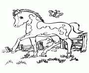 Printable pretty_horse_coloring_page coloring pages