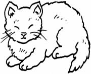 Printable coloring pages for kids cat fat2304 coloring pages