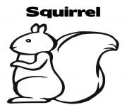 Printable kids squirrel s2ff8 coloring pages