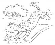 Printable cheetah s for kids795c coloring pages
