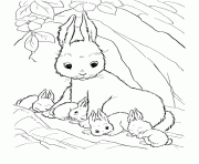 Printable coloring pages for kids rabbit and her babies973e coloring pages