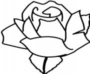 Printable rose s for kids7990 coloring pages