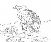 Printable kids falcon bird s9c0f coloring pages