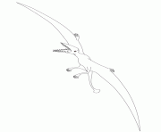 Printable pterodactyl dinosaur 2 coloring pages