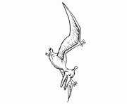 Printable pterodactyl dinosaur 3 coloring pages