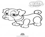 Printable pet parade cute dog bouledogue 1 coloring pages