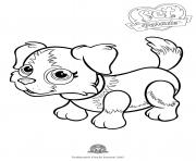 Printable pet parade cute dog border collie 1 coloring pages