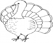 Printable turkey easy thanksgiving s printables9f11 coloring pages