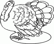 Printable thanksgiving s of turkeys66c3 coloring pages