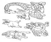 Printable wild kratts The Wild Animals coloring pages