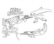 Printable wild kratts The In Underwater Expedition coloring pages
