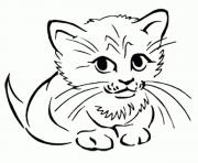 Printable Shy Cat kittenf6cb coloring pages