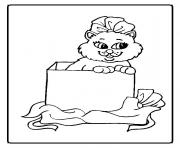 Printable a cat in a box animal s047f coloring pages