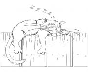 Printable cat on a fence 9809 coloring pages