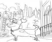 Printable max dog walk in the city secret life of pets coloring pages