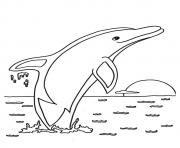 Printable Dolphin max splasher a4 coloring pages