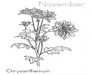 Printable Chrysanthemum November coloring pages