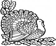 Printable November Turkey coloring pages