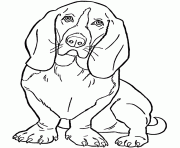 Printable lame eyed dog 14be coloring pages