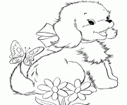 Printable of cute dogsfc21 coloring pages