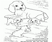 beautiful white dogs 06ec coloring pages