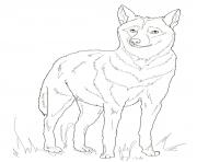 italian wolf coloring pages