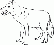 Printable wolf 10 coloring pages