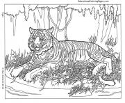 Printable Cool Animal Hard Adult coloring pages
