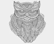 Printable animals advanced owl coloring pages