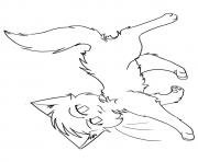 Printable Cute but brave Warrior Cats a4 coloring pages