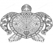 Printable turtle zentangle adults coloring pages