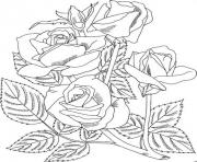 Printable Realistic Rose coloring pages
