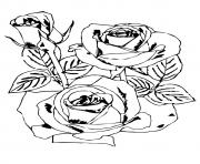 Printable rose flowers a4 coloring pages