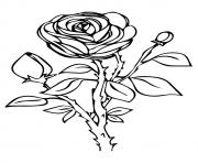 Printable rose nature a4 coloring pages