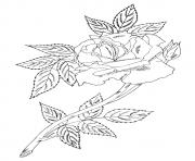 Printable single rose with leaves a4 coloring pages