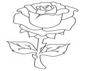 Printable the beautiful rose a4 coloring pages