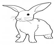 Printable easter bunny real rabbit coloring pages