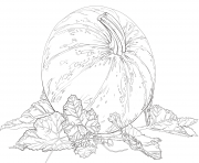 Printable pumpkin with leaves for halloween coloring pages