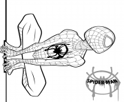 Printable Spider Man coloring pages