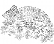 Printable chameleon mandala coloring pages