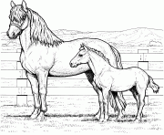 Printable Horse Family coloring pages