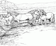 Printable Herd of Horses coloring pages